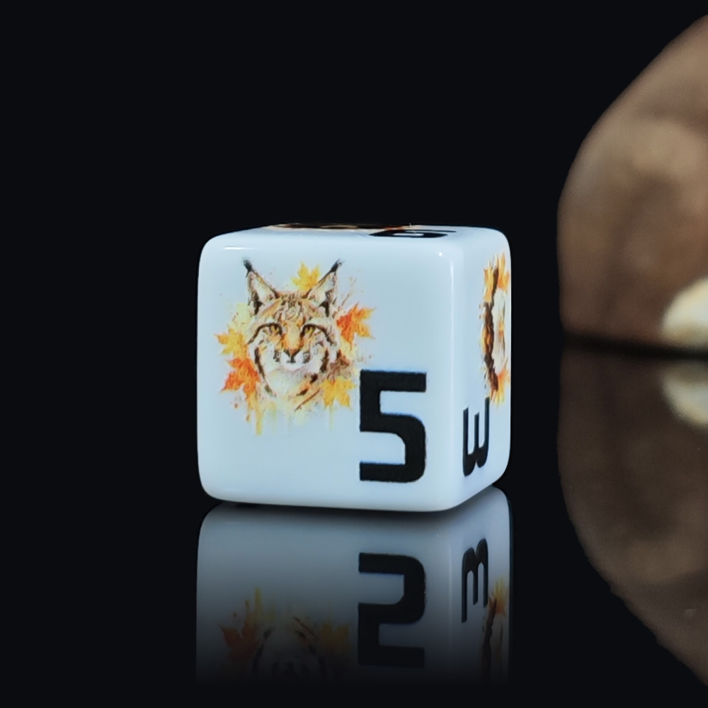 12 Pezzi Dadi D6 in Acrilico d - Board Game Wild Wild recensione e prezzo